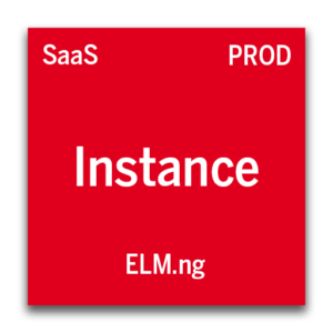 ELM.ng - Productive Instance (Standard)
